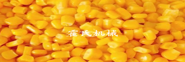 焯煮、油炸設備