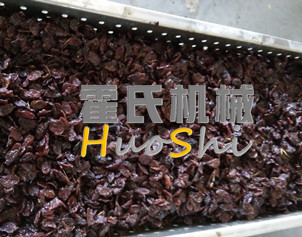 蒸女貞子、黃精體驗